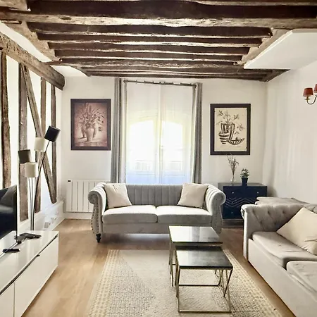 Marais 80 M2-notre Dame-louvre 10 Min Walk *